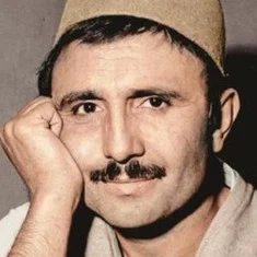 Majid Mohseni