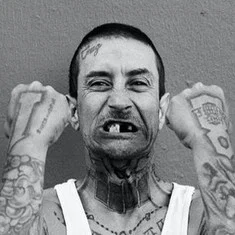Andy Roy