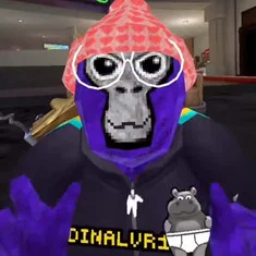 Cardinalvr1