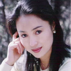Yang Fengyi