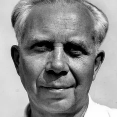 Ivar Lo-Johansson