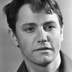 Владимир Земляникин