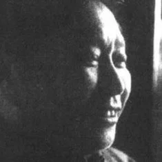 Wang Wenlin