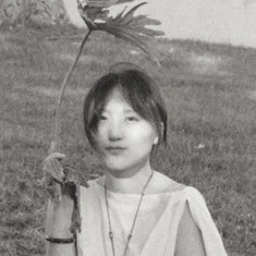 an-li dīng