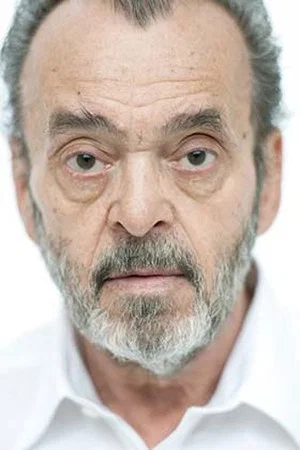 Fritz Schediwy