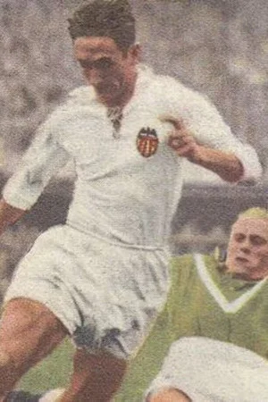 Faas Wilkes