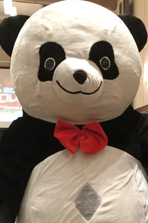Фото: Andreza Giant Panda