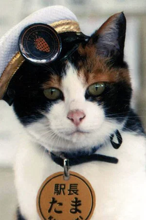 Tama