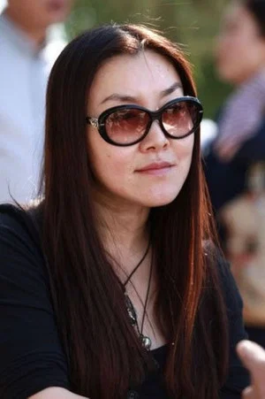 Zhao Chenyang