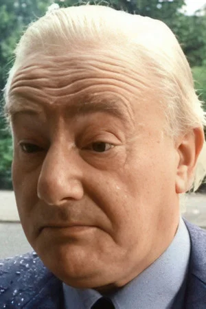 Wim van den Brink