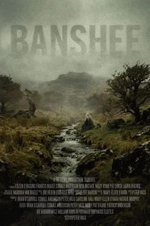 Постер: Banshee