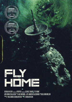 Постер: Fly Home