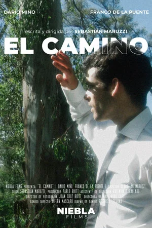 Постер: El camino