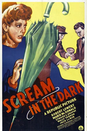 Постер: A Scream in the Dark