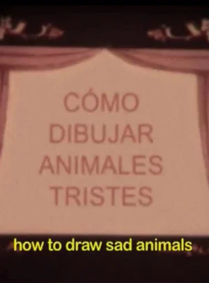 Постер: How to Draw Sad Animals or Notebook of All the Living and Dead Things That I Imagined the Night You Went Away Forever