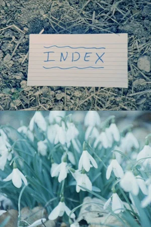 Постер: Index