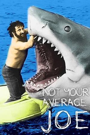 Постер: Not Your Average Joe