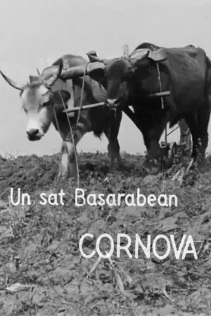 Постер: Un sat basarabean, Cornova