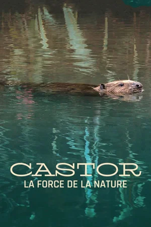 Постер: Castor, la force de la nature