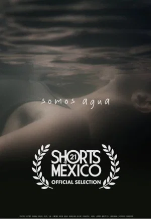 Постер: Somos agua