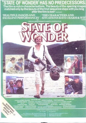 Постер: State of Wonder