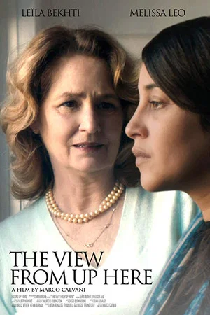 Постер: The View from Up Here
