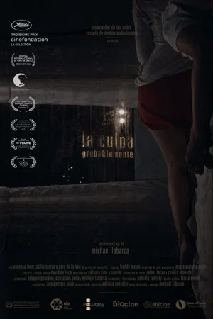 Постер: The Guilt, Probably