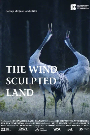 Постер: The Wind Sculpted Land