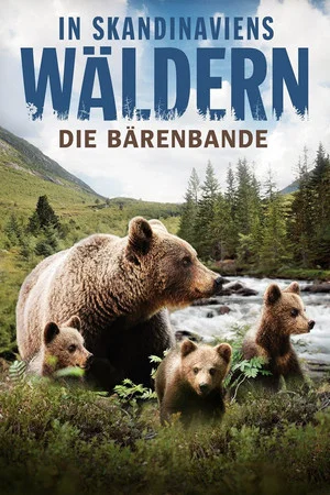 Постер: In Skandinaviens Wäldern - Die Bärenbande