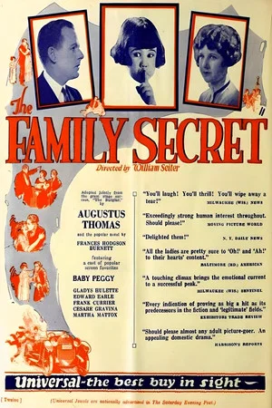 Постер: The Family Secret