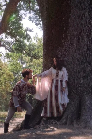Постер: Tale of The Great Oak
