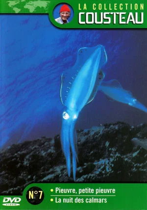 Постер: The Cousteau Collection N°7-1 | Octopus, Little Octopus