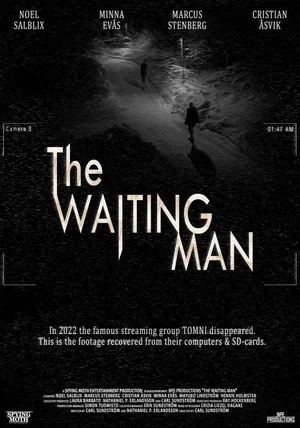 Постер: The Waiting Man
