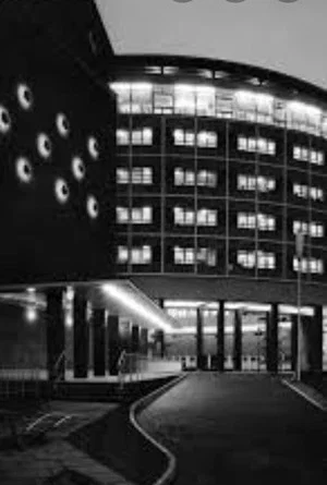 Постер: Birth of a Building