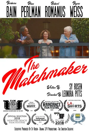 Постер: The Matchmaker