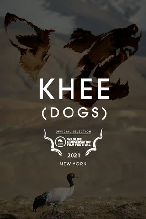 Постер: Dogs