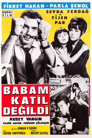 Постер: Babam Katil Değildi