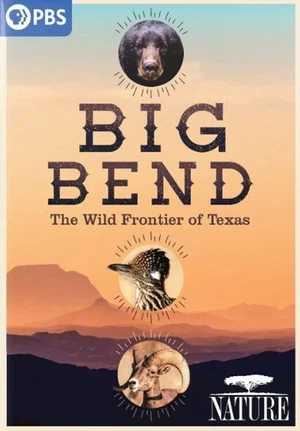 Постер: Big Bend: The Wild Frontier of Texas