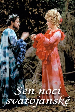 Постер: Sen noci svatojánské