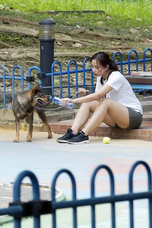 Постер: Puppy