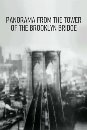 Постер: Panorama from the Tower of the Brooklyn Bridge