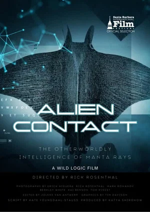 Постер: Alien Contact