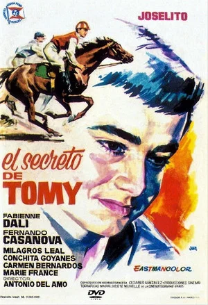 Постер: El secreto de Tomy