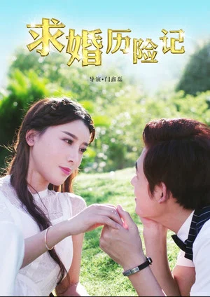 Постер: 求婚历险记