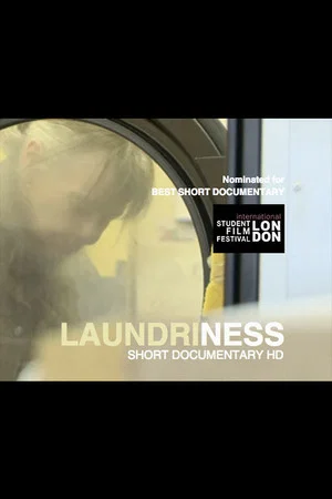 Постер: Laundriness