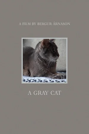 Постер: A Gray Cat