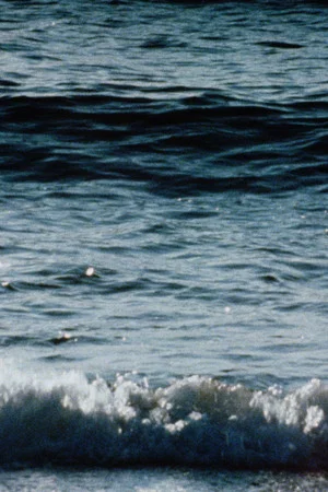 Постер: Red Sea