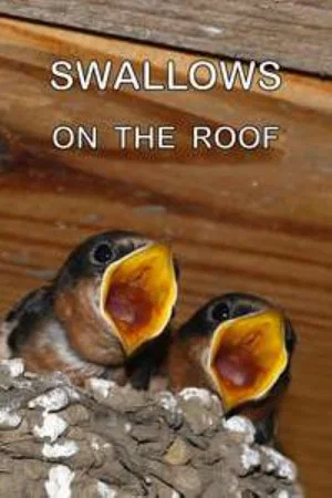 Постер: Swallows on the Roof