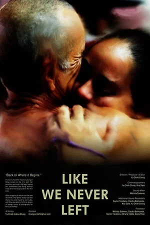 Постер: Like We Never Left