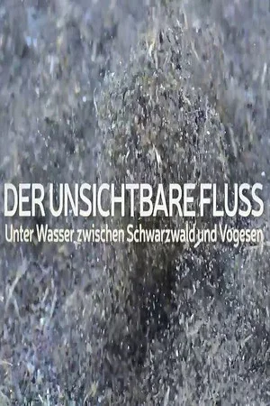 Постер: Un fleuve invisible